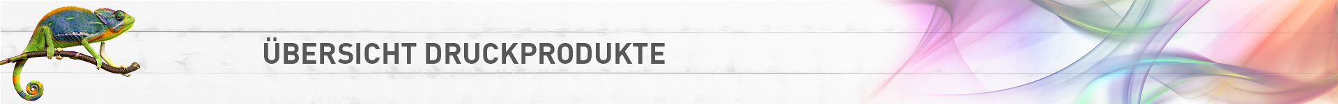 ÜBERSICHT Druckprodukte